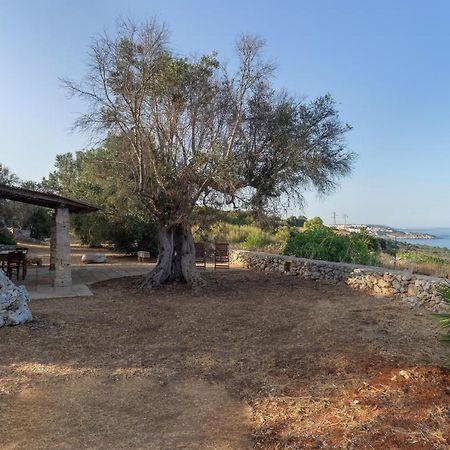 Levante E Libeccio Villette Vista Mare - Marina Di Андрано Экстерьер фото