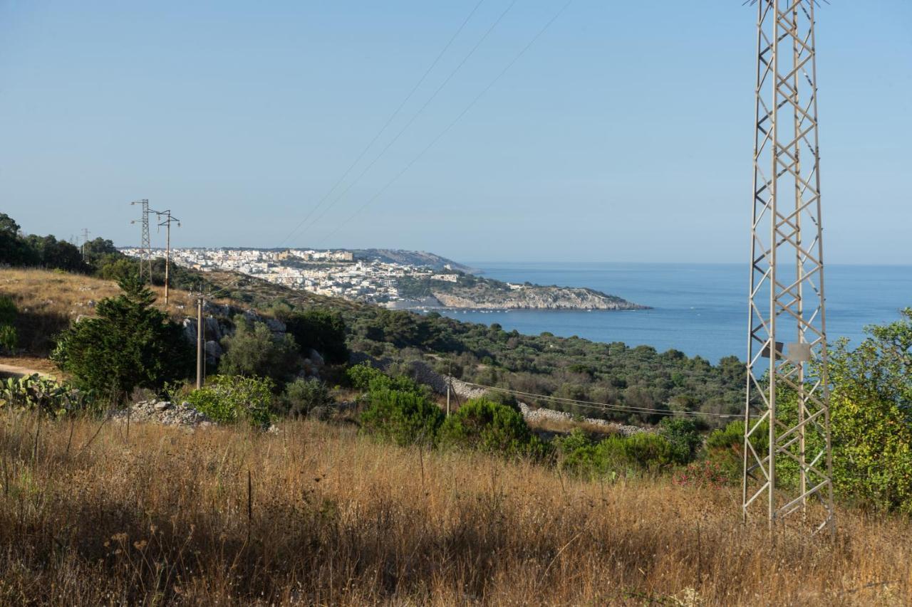 Levante E Libeccio Villette Vista Mare - Marina Di Андрано Экстерьер фото